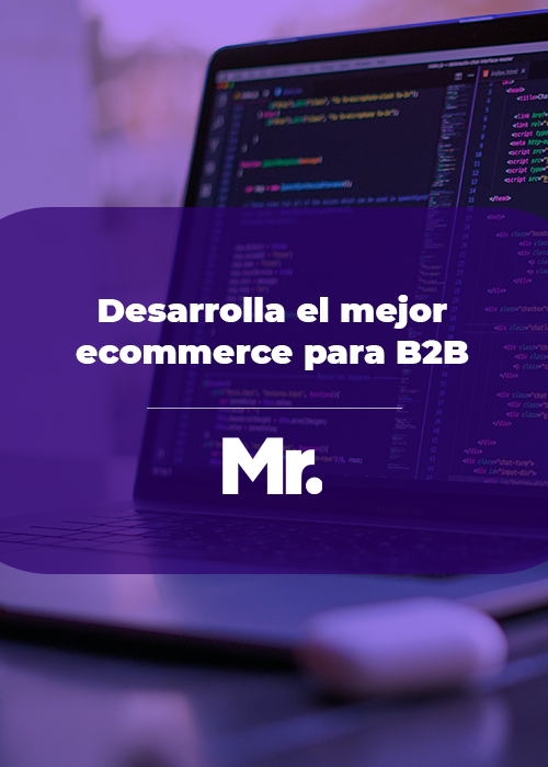 desarrolla el mejor ecommerce b2b