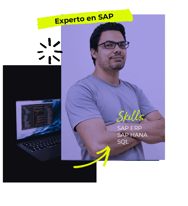 Experto SAP