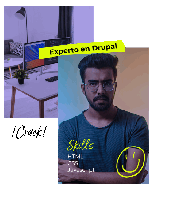 Experto en Drupal