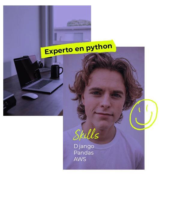 Experto en python