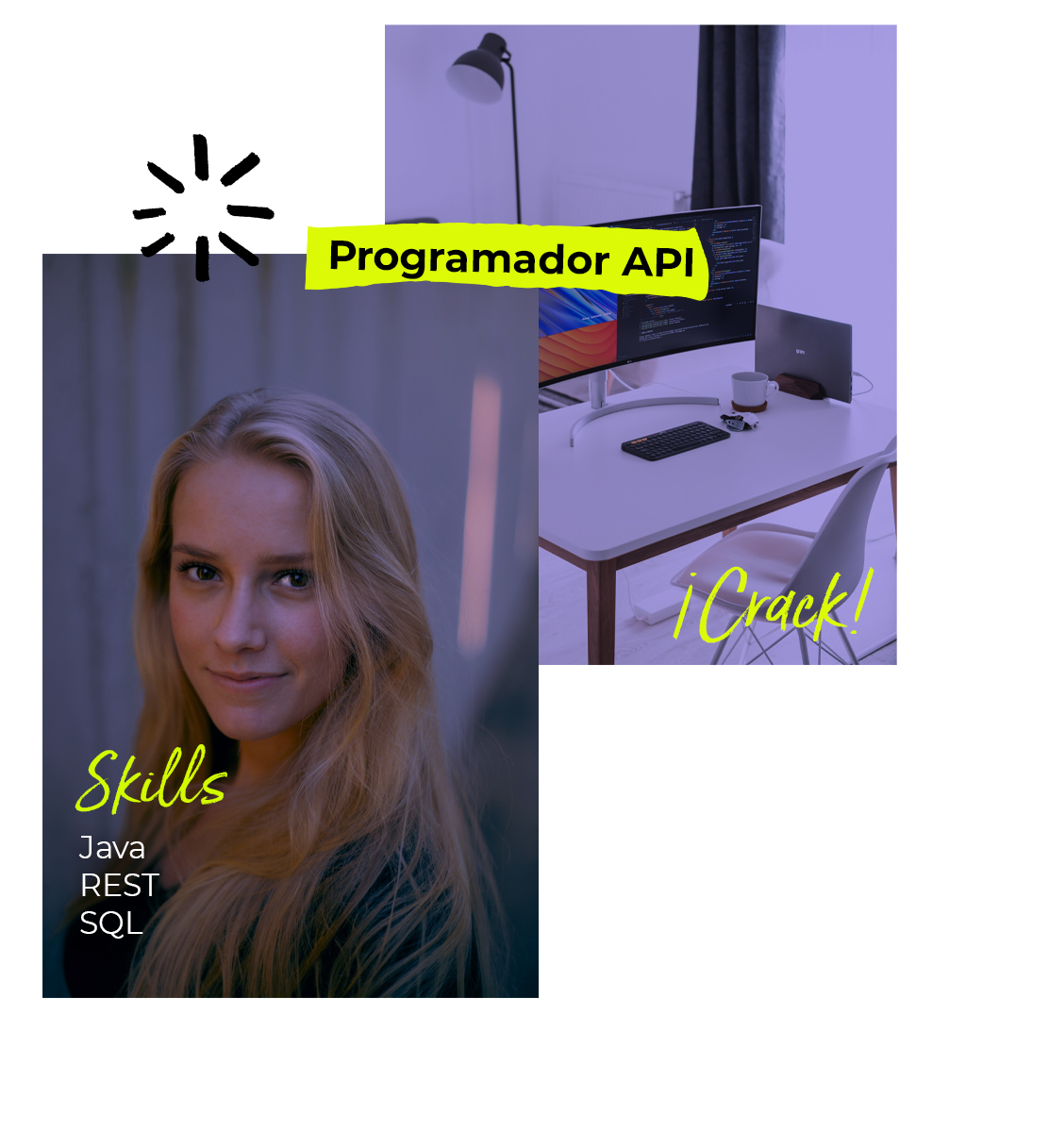 Programador API